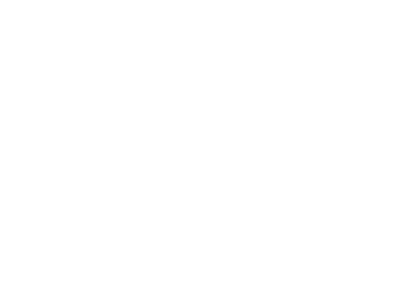 Passenger Transport List/Ticket